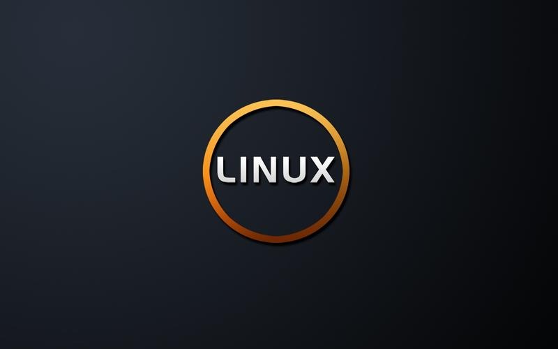 广州服务器托管LINUX系统